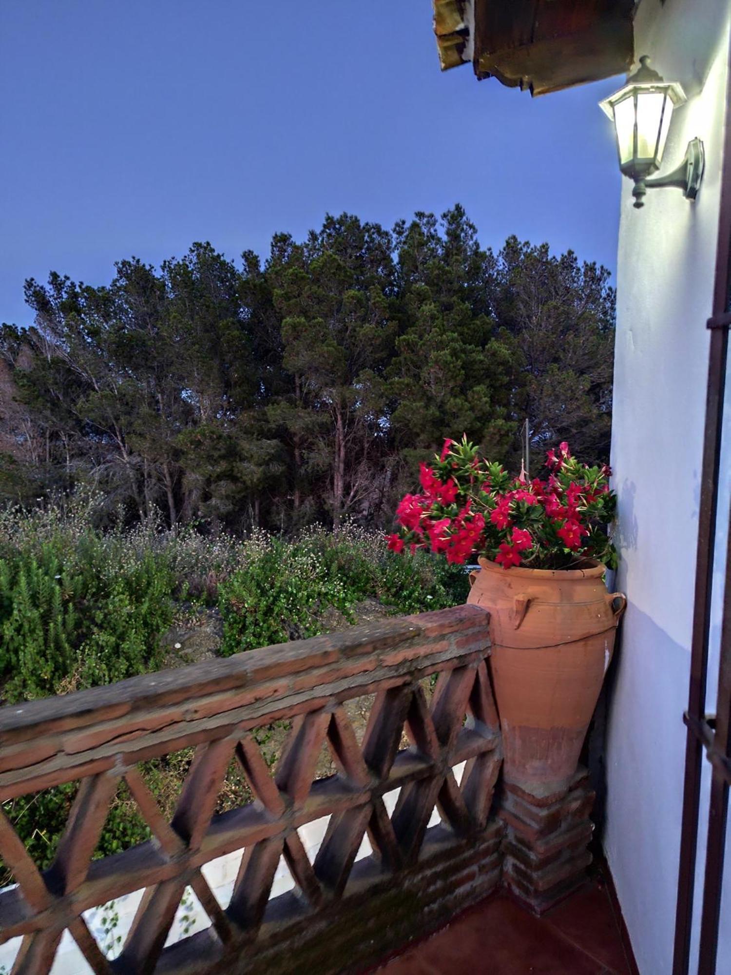 Casa Villazo 2 Málaga Dış mekan fotoğraf
